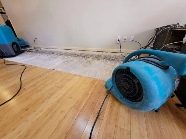 Professional Sewage Cleanup technician working in La Salle, MN